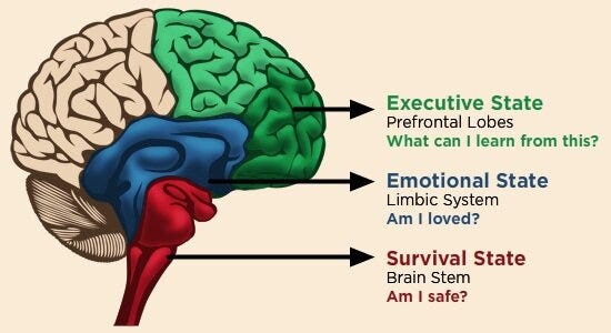 The Power of Emotions in Human Experience