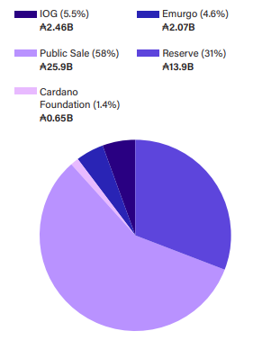 Initial Token Distribution