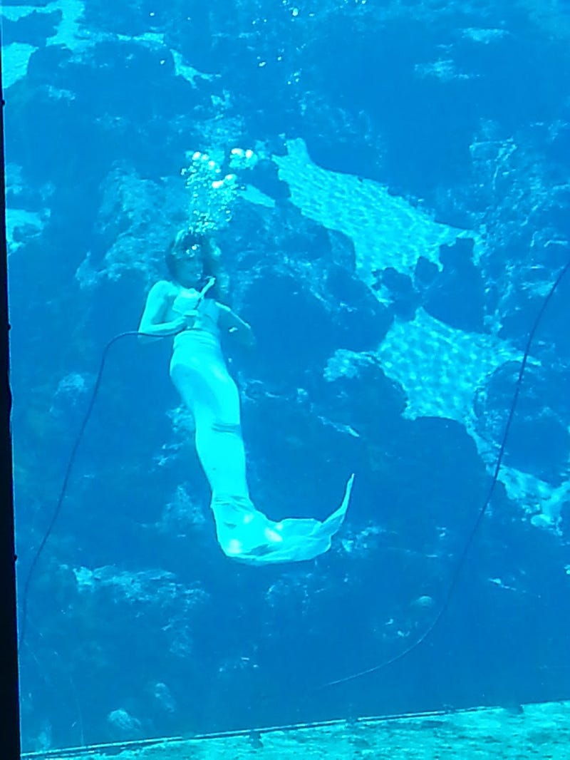 Mermaids performing in a natural spring at Weeki Wachee