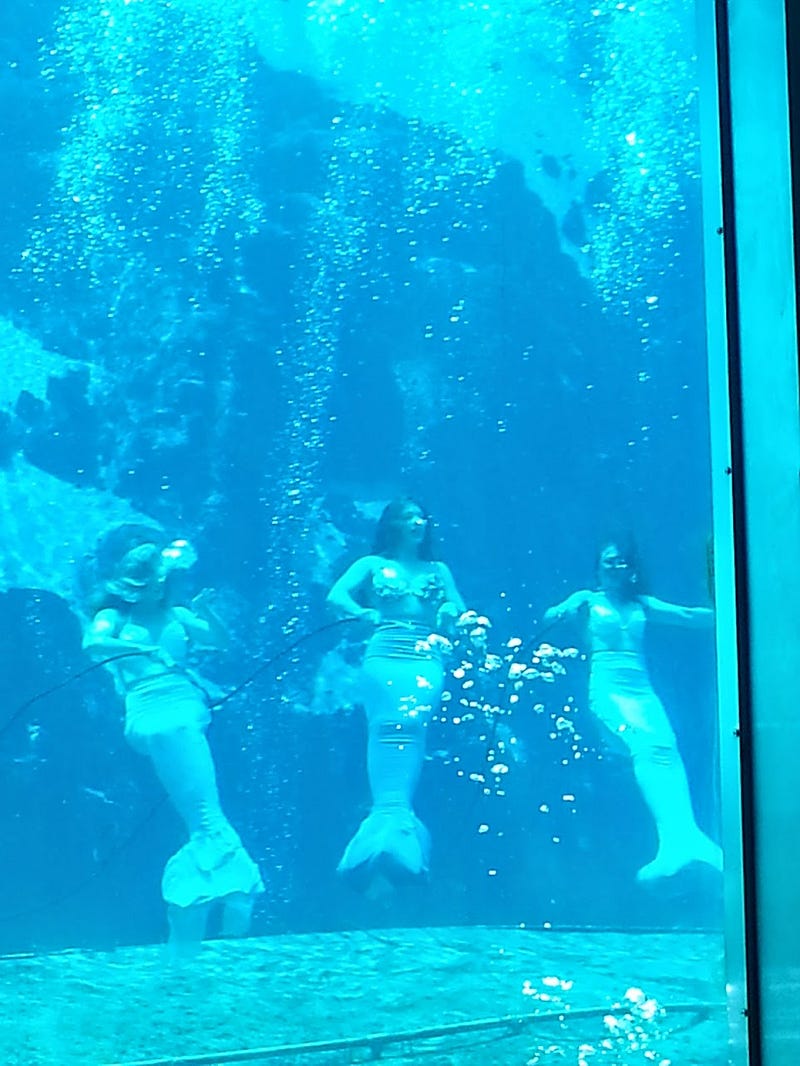 Underwater performance at Weeki Wachee