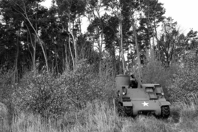 Old military vehicles merging with the natural environment