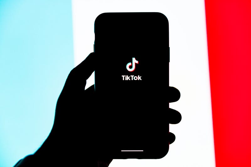 Analyzing TikTok's Data Privacy Measures