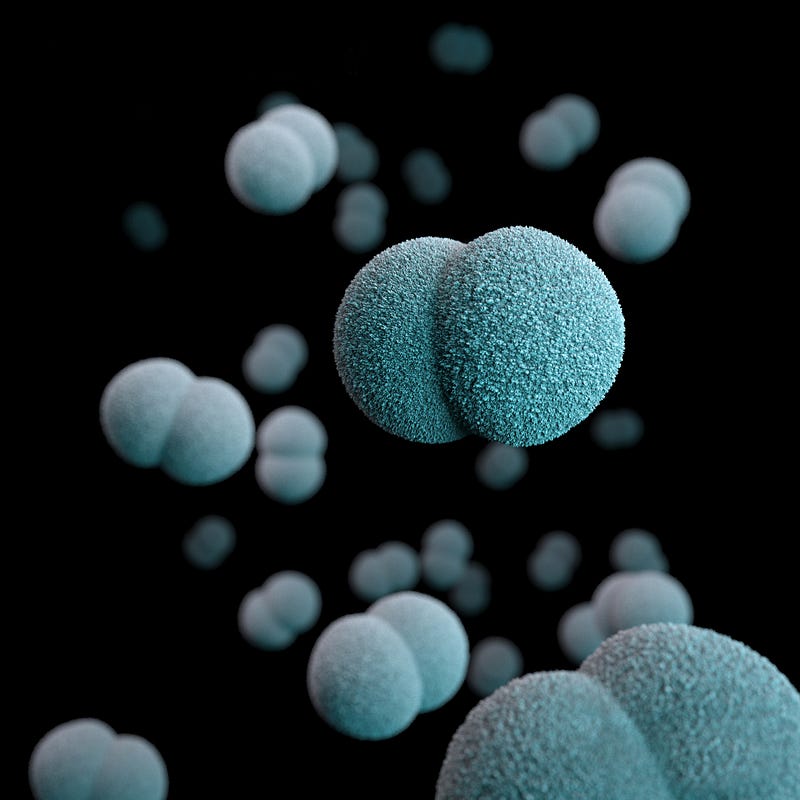 Illustration of bacterial spores protecting DNA