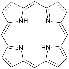 Basic molecular structure of porphyrin