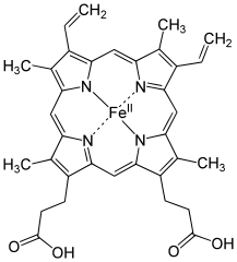 Heme B structure showing similarities to porphyrin