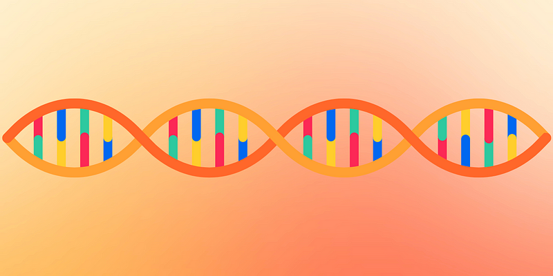 Human genome DNA structure