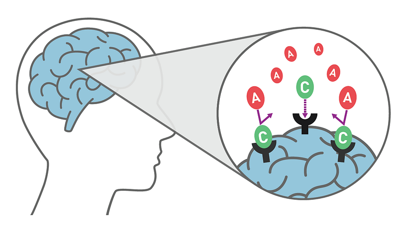 Illustration depicting caffeine's interaction with adenosine receptors