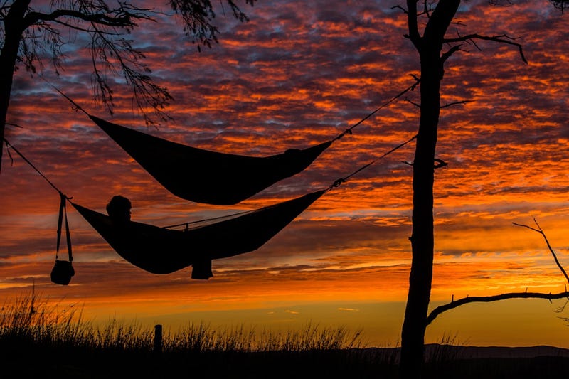 Evening relaxation with a book