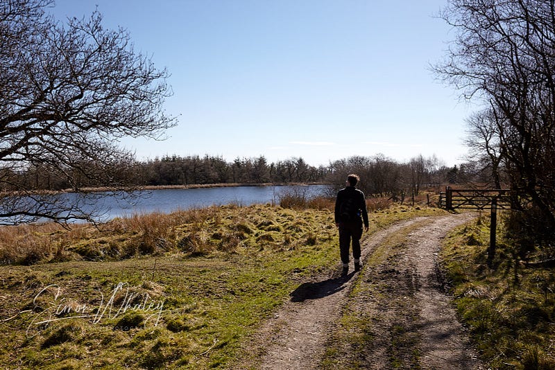 Author enjoying another walk