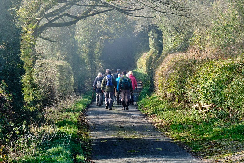 Group of walkers enjoying their time outside