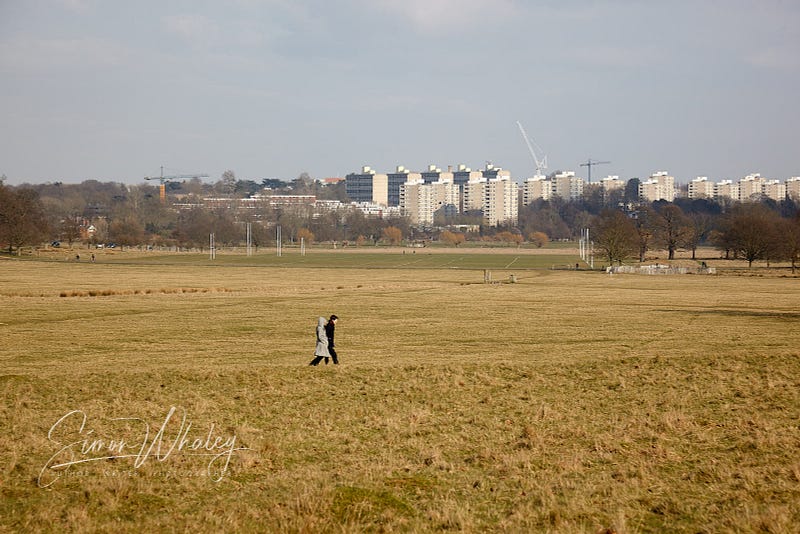 City parks providing serene walking routes