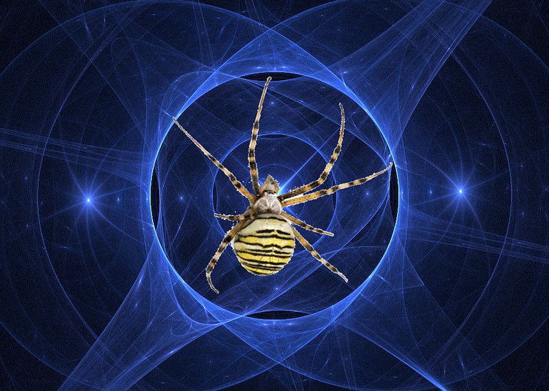 An artistic representation of spider stars in action.