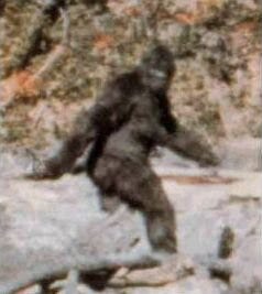 Frame 352 of Patterson-Gimlin Film