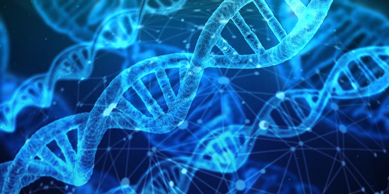 Mitosis process overview