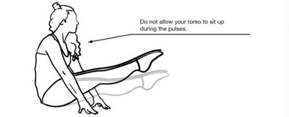 Seated Leg Raises for Hip Flexor Strength