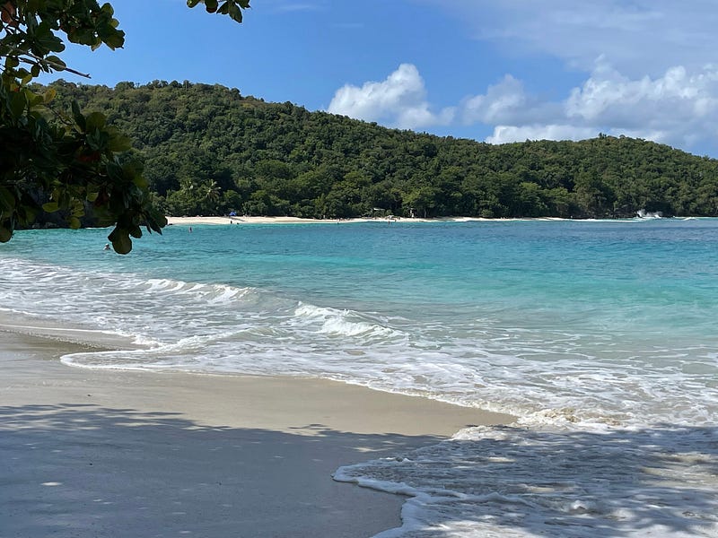 The serene landscape of Oppenheimer Beach