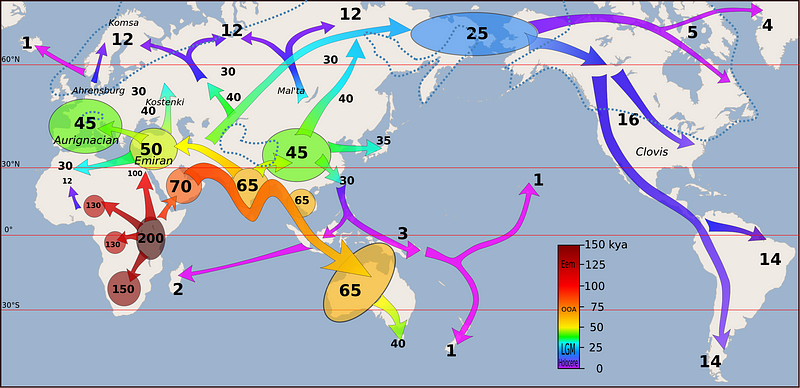 Timeline of human migration