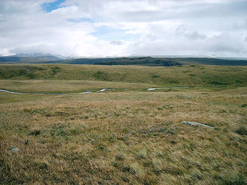 Remaining mammoth steppe in Northern Russia